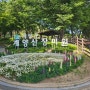 인천 계양산 장미원 풍경