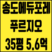 인천 송도아파트 매매 송도에듀포레푸르지오 35평 5억대 80% 대출