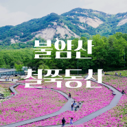 서울 불암산 나비정원 철쭉동산 철쭉축제 예쁜 곳