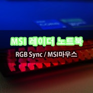 MSI 레이더 18 HX A14VIG-i9 게이밍노트북 마우스까지 RGB