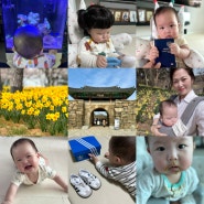👶D+182~195)4월, 서산여행, 수선화, 아기여권만들기