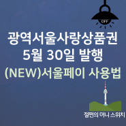 광역 서울사랑상품권 발행일정 5월 30일, (NEW)서울페이 사용법