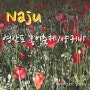 전남 나주 가볼만한곳 영산강 체육공원 24년 영산포 홍어축제 양귀비꽃밭 저녁방문
