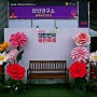 충북 영동 가볼만한곳 5월축제 제13회 대한민국 와인축제
