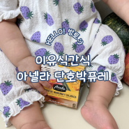 아기 퓨레 시기 7개월 8개월 이유식 간식 아넬라 단호박퓨레 맛있게 먹는 방법