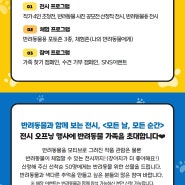 [기획 전시] 반려동물 展 <모든 날, 모든 순간> 오프닝 안내