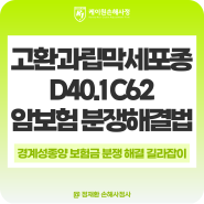 성인형 고환의 과립막 세포 종양 D40.1 암보험 보험금 제대로 받기