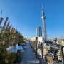 3년 만의 일본, 도쿄&도호쿠 일주 (10일차) - 스카이트리를 보며 맞이하는 마지막 날의 아침 (完)