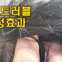 두피샴푸 탈모완화샴푸 에이르보 피톤포레 너리싱 샴푸 비건샴푸 좋은이유는?