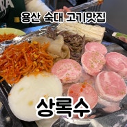 [맛집] 숙대입구 고기 맛집 '상록수' + 근처 젤라또 후식 추천 (내돈내먹/솔직후기)