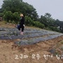 [옹진군-덕적도] 시다맘빠 텃밭이야기 15 / 고구마 모종 천개 심고, 물 주기