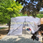 캠핑모기장 텐트 알뜨리 사각 특대형 모기장 사용기