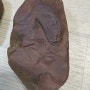 [속보] 포항에서 공룡모습이 보존된 공룡알 화석이 발견되었습니다. 광협보석갤러리카페 한국광협보석감정원 앵두금성분분석소 대표 박현철