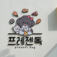 [프레젠독] 동탄강아지케이크 후기/제리5살 생일파티🎉