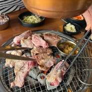 대전 갈마동 고기집, 생갈비 추천: 초나정갈비