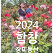 2024 상주시 함창 장미동산 슬라페&한복축제(생생후기)