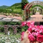 장성 평림댐 장미공원 전남 꽃구경 여행지 추천