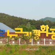 "노근리 평화공원" 장미, 작약이 만개했네요!