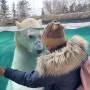 [AB] Calgary Zoo