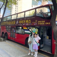 서울 시티투어버스 도심 고궁 코스로 가족과 함께남산타워 DMC 인사동 방문 내돈내산 후기