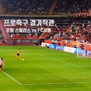 프로 축구 경기 포항 스틸러스 vs FC 서울 직관 후기