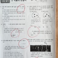 초4 식물의 한살이 단원평가