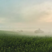 [한국 여행] 안성 목장의 아침 / The morning of Anseong Ranch