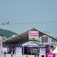 충북여행 영동 대한민국와인축제 주말 나들이 추천