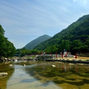 대전근교계곡 장령산자연휴양림 데이트추천