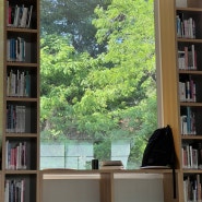[도서관] 초여름 예쁜 나무들을 보며 독서하기 좋은 도서관 - 금천구립독산도서관