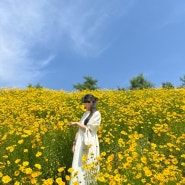 함안 악양생태공원 (5/25 방문) 꽃 개화상황, 꽃구경 가기