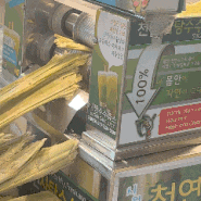 프룻마미🧸🤎 내돈내산 사탕수수주스 광장시장 천연사탕수수주스 광장시장사탕수수