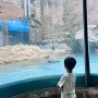 아이와 서울구경 : 어린이대공원, 상상나라