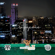 Singapore 싱가포르 여행 3박 6일 4️⃣ (가든스바이더베이 수퍼트리쇼, 마리나베이샌즈 스펙트라 레이저분수쇼, 일정표와 이동 꿀팁, 마리나베이샌즈 호텔 인피니티풀 야경)