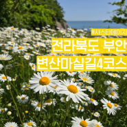 전북 부안 5월 꽃구경 가볼만한 곳 샤스타데이지 마실길4코스 변산경찰수련원 실시간 개화상황