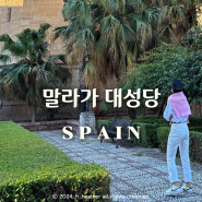 스페인 여행 가볼만한 곳 말라가 대성당 무료입장 시간과 후기