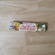 일본 하이츄 배 맛 자몽 맛 레몬맛 탄산 맛