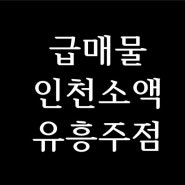 인천 소액 1종노래방 매매 4천만원 유흥주점 급매물