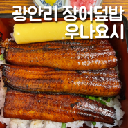 부산 수영 맛집 남천동 장어덮밥 우나요시