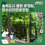 [2024 봉화군 서포터즈] 숲속도시 봉화의 자연을 가득 담은 휴양림, 문수산자연휴양림