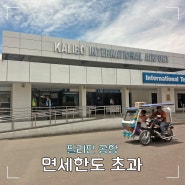 필리핀 면세한도 초과 세관검사 보라카이 공항 면세점 골든듀 압수 꿀팁