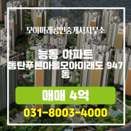 능동 동탄푸른마을모아미래도 아파트 매매