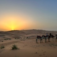 카사르 알 사랍 사막호텔 2일차 - 헬스장, 조식, 낙타타기, 라운지바, 사막다이닝, 풀사이드바