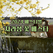 2024 자라섬 꽃 페스타 축제 입장료 남도 정원 주차 기본정보