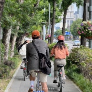 바이크아트뮤직클럽, 무해한 이들의 취향공유모임