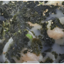 백반기행 광명 만둣국 한상 만두전골 22년 전통 맛의 무지개 송선미 광명밥상