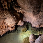 고수 동굴 입장료, 소요시간 : 단양 당일치기 여행 가볼만한 곳