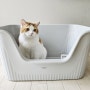 레토 고양이화장실 특대형으로 넉넉한 사이즈
