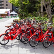 후쿠오카 자전거 챠리챠리 비추 오류 1시간 씨름 끝 해결한 후기