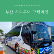 부산 시티투어버스 예약 이용요금 버스타는곳 이층버스 버스 시간표 그린라인 이용후기